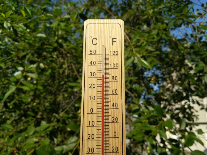 Valdemaro Šukštos / 15min nuotr./Karščiai
