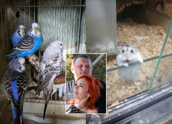 Asmeninio albumo nuotr. / „15min“ fotomontažas/Įkūrėjai Robertas ir Rūta Jatkoniai