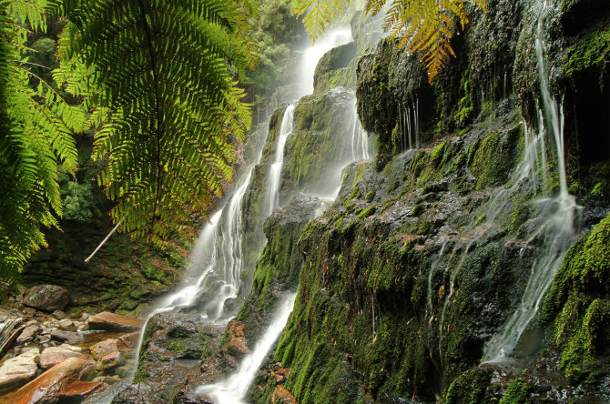 Shutterstock nuotr./Tasmanija