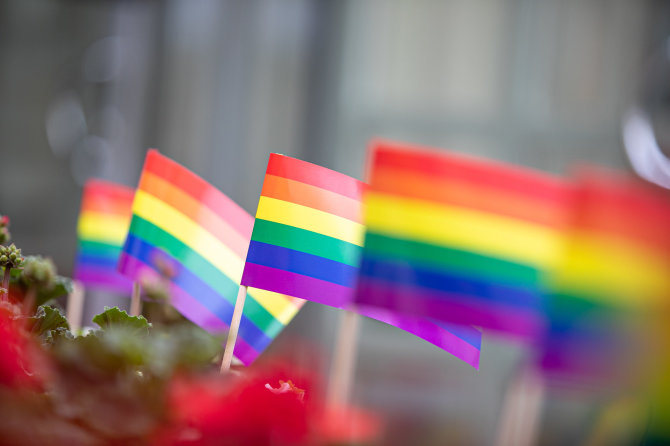 Juliaus Kalinsko / 15min nuotr./LGBT vėliavos