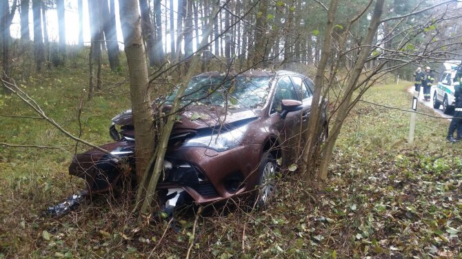 Klaipėdos apskrities VPK/„Toyota Avensis“ rėžėsi į medį