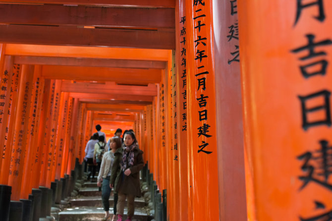 123rf.com nuotr./Fushimi Inari šventykla Kiote