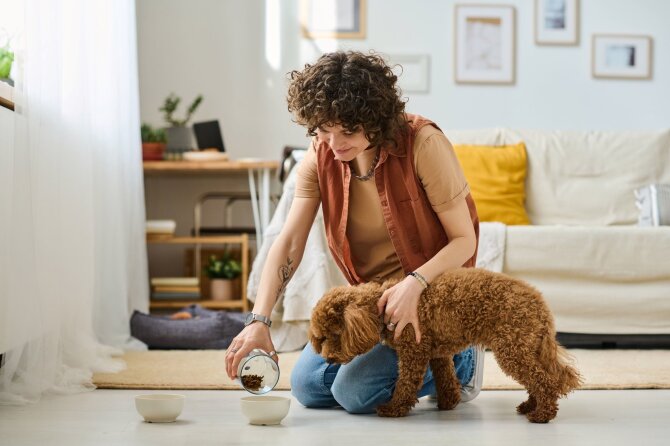 Shutterstock nuotr./Šuo