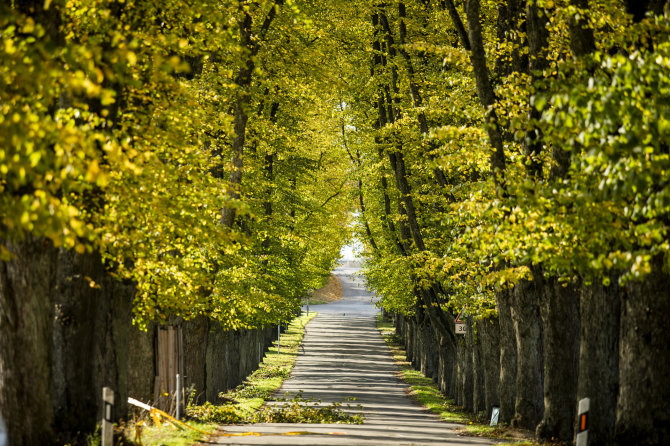 Luko Balandžio / 15min nuotr./Trakų Vokės dvaro sodyba ir parkas