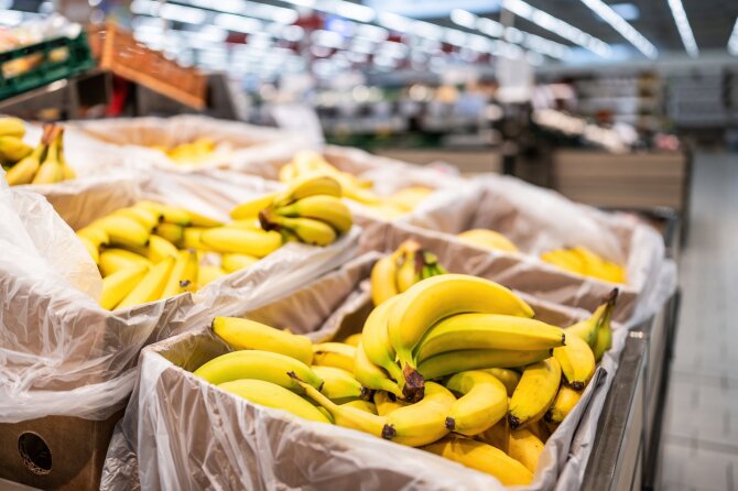 Shutterstock nuotr./Bananai