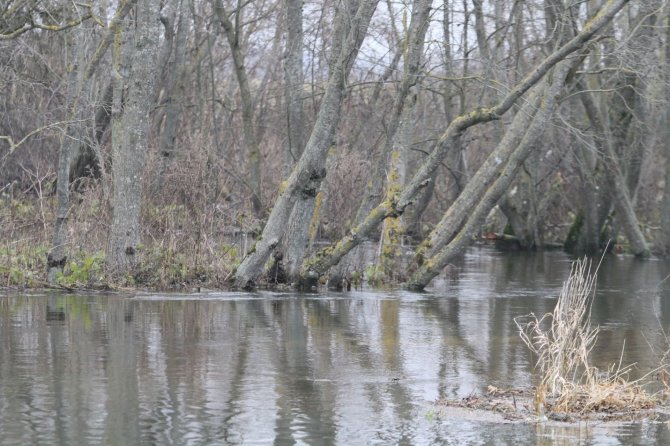 Alvydo Januševičiaus nuotr./Degučiuose nuskendo šešiametis