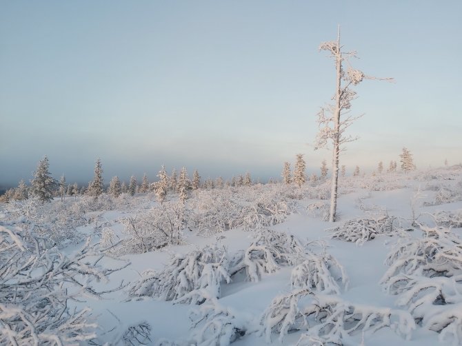 Asmeninio archyvo nuotr./Justinos užfiksuotas Laplandijos kraštovaizdis