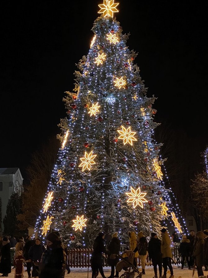 Rietavo savivaldybės nuotr./Rietavo Kalėdų eglė