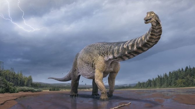 Zapozauro dinozauro iliustracija