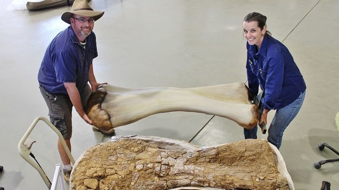 Queensland museum/Tyrėjai lygina kaulų 3D skenus su kitų sauropodų rūšių kaulais
