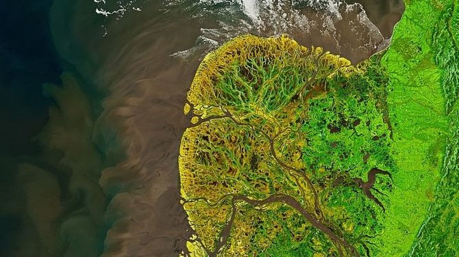 Joshua Stevens/NASA Žemės Observatorija/Jukono-Kuskokvimo delta