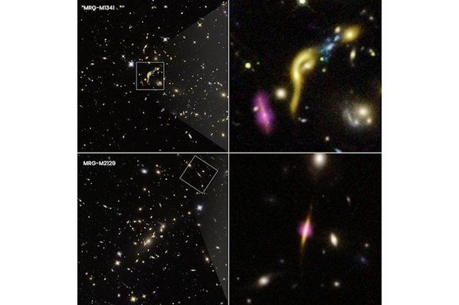 Joseph DePasquale (STScI)/Dviejų mirusių ankstyvųjų galaktikų, užfiksuotų Hubble kosminiu teleskopu ir ALMA, vaizdai ištraukus ir priartinus