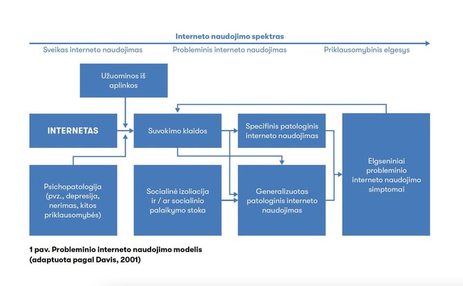 Žurnalas „Spectrum“/Probleminis interneto vartojimo modelis 