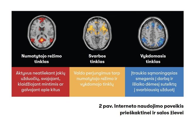 Žurnalas „Spectrum“/Interneto naudojimo poveikis prieškaktinei ir salos žievei