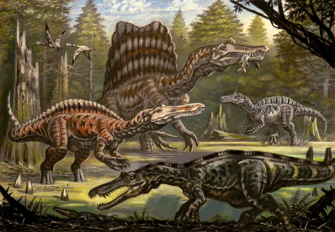 Wikimedia/Įvairių spinozauridų, gyvenusių ne tuo pačiu laiku ir ne toje pačioje erdvėje, iliustracija