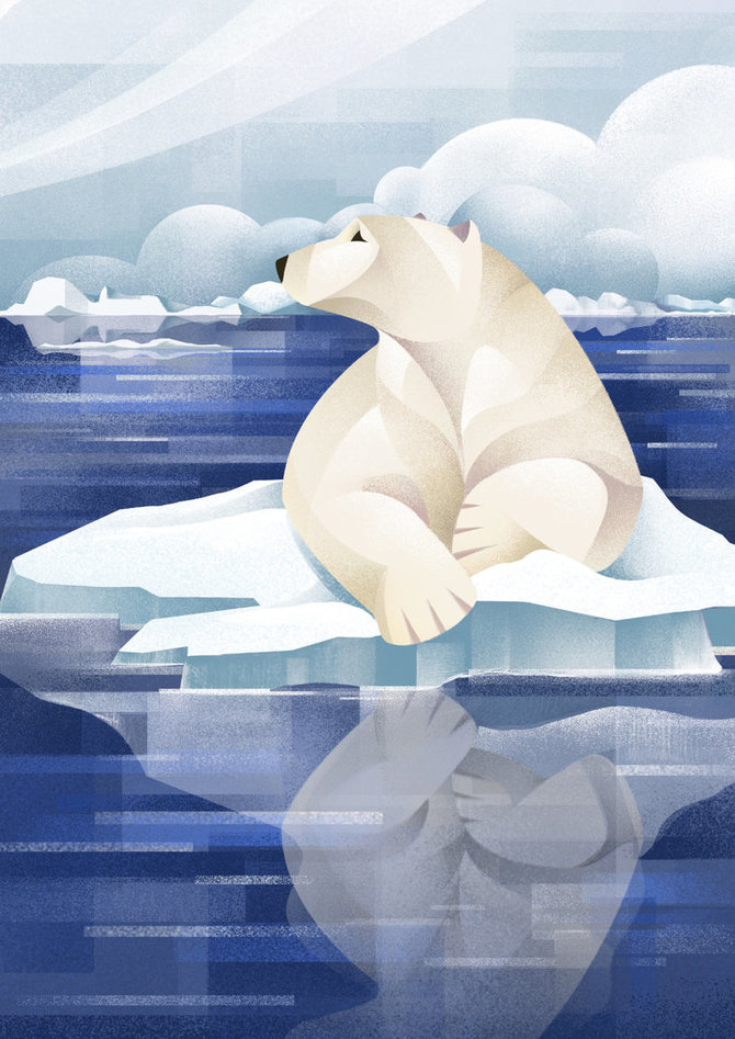 Sengirės fondo nuotr./Chiara Vercesi - Polar Bear
