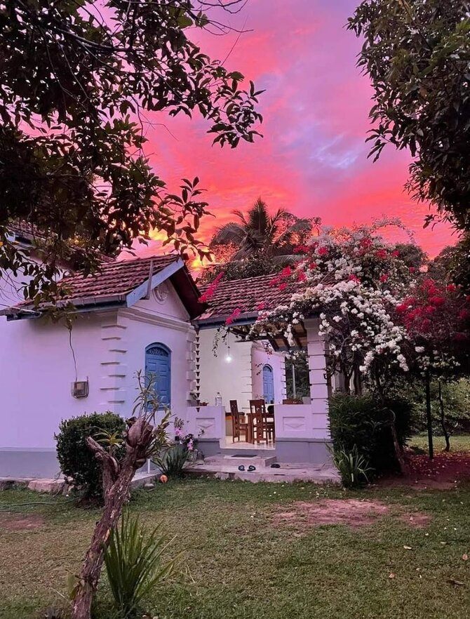 Asmeninio archyvo nuotr./Dominykos gyvenimas Šri Lankoje