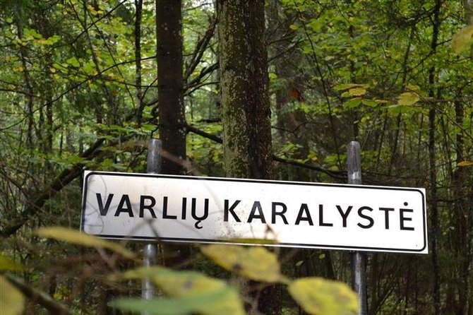 Organizatorių nuotr./Varliu karalystė 