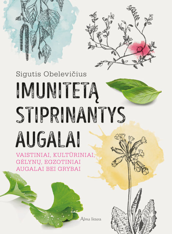 Leidyklos nuotr./Imuniteta stiprinantys augalai