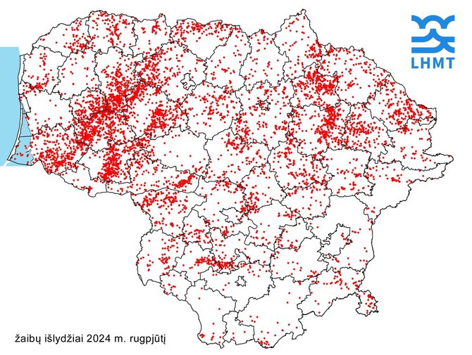 Meteo.lt nuotr./Žaibai