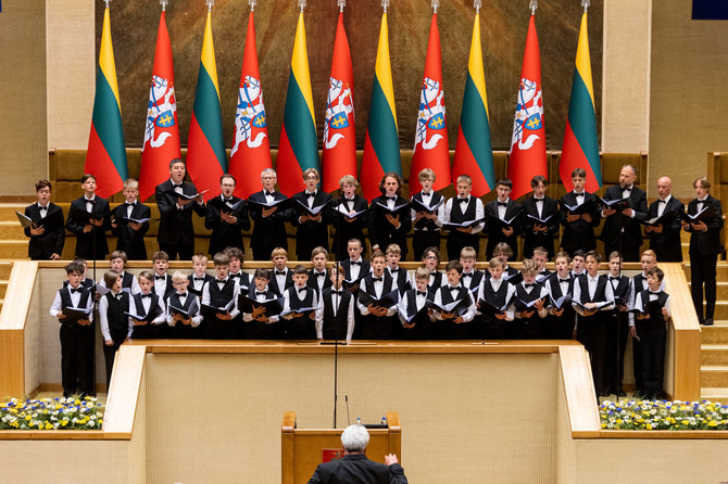 Pauliaus Peleckio / BNS nuotr./Gedulo ir vilties bei Okupacijos ir genocido dienų minėjimas Seime