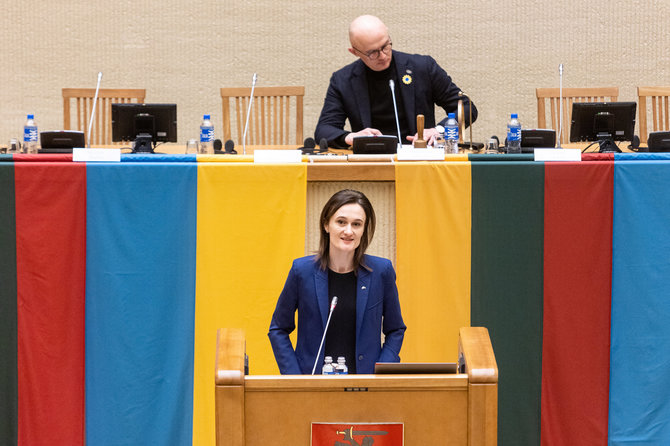 Pauliaus Peleckio / BNS nuotr./Konferencija „Metai karo Ukrainoje“ Seime