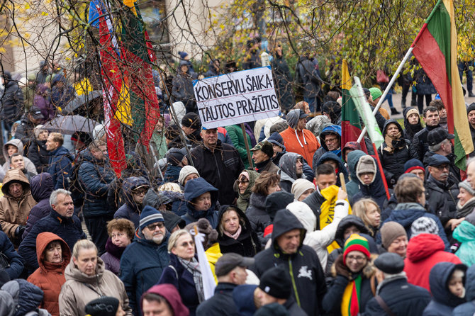 Pauliaus Peleckio / BNS nuotr./Protestas del NT mokesčio prie seimo