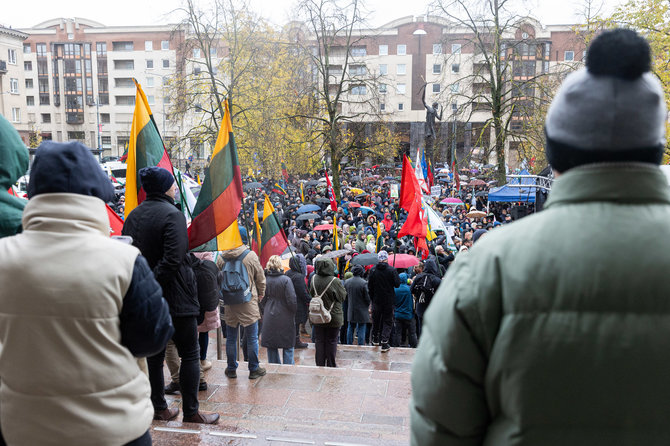 Pauliaus Peleckio / BNS nuotr./Protestas dėl NT mokesčio prie Seimo