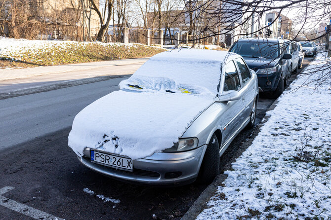 Pauliaus Peleckio / BNS nuotr./Apleisti automobiliai su lenkiškais valstybiniais numeriai stoties rajone