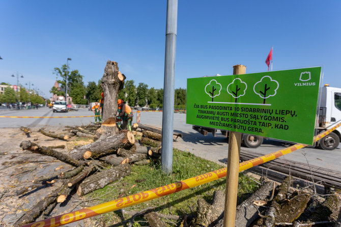 Skirmanto Lisausko /15min nuotr./Liepų šalinimas Lukiškių aikštėje