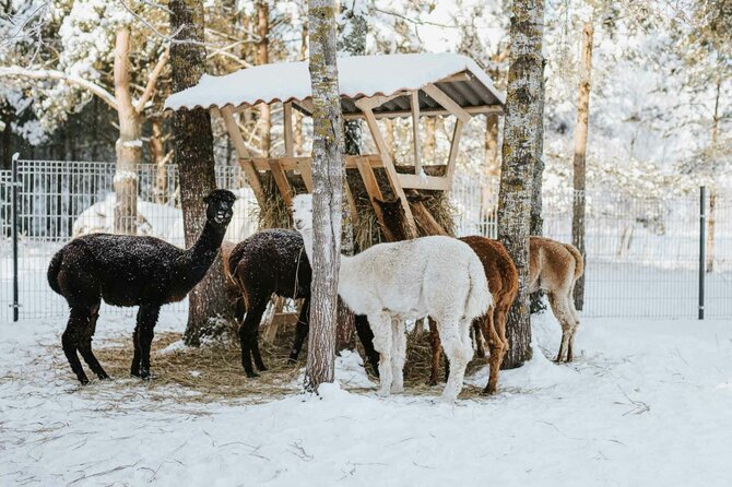 „Keliauk Lietuvoje“ nuotr. / Ūkis „Čiobrelių rojus“