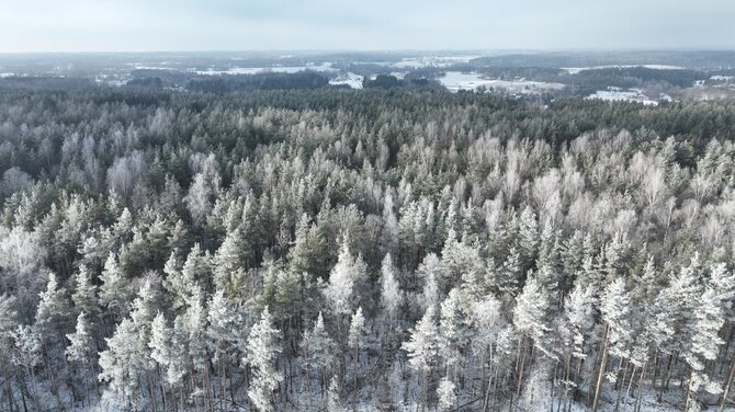 Asvejos regioninio parko nuotr. / Asvejos regioninis parkas