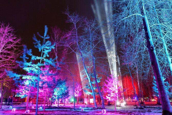 „Caffe Forrest“ arch. nuotr. / „Magic Forrest“ šviesų festivalis