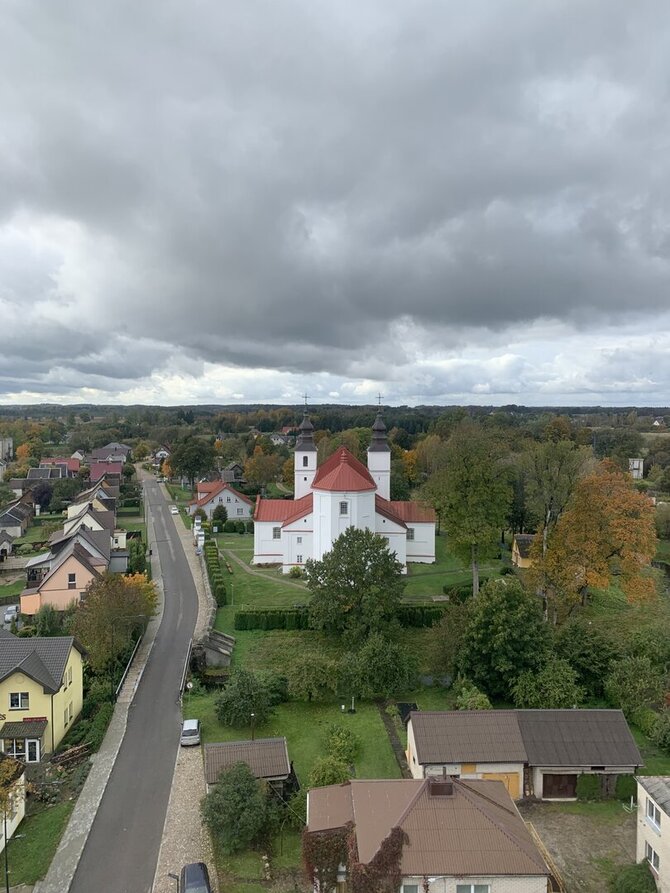 Rasos Liškauskaitės nuotr. / Varniai