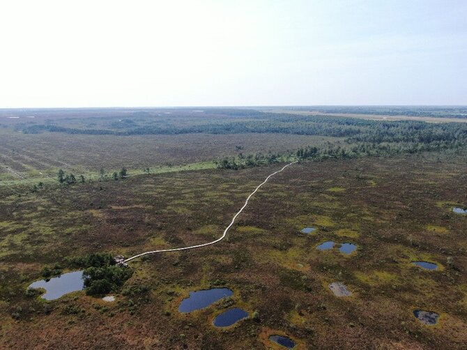 Valstybinių miškų urėdijos nuotr. / Lietuvos pelkės