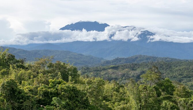 Asmeninio archyvo nuotr. / Kinabalu kalnas, Borneo, Malaizija