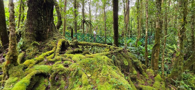 Asmeninio archyvo nuotr. / Kinabalu papėdėje, Borneo, Malaizija