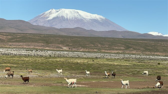 Algirdo Morkūno / „Lost Borders“ nuotr. / Bolivija