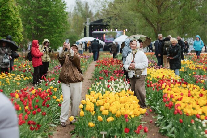 Elvino Skabeikio nuotr. / Burbiškio dvaro festivalio „Tulpių žydėjimo šventė“ akimirkos, 2026 m.