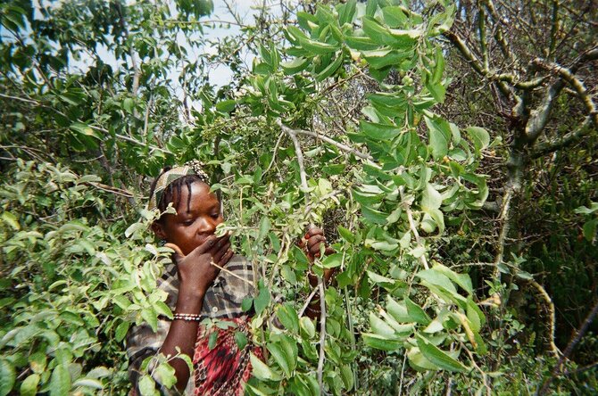 Asmeninio archyvo nuotr. / Tanzanija