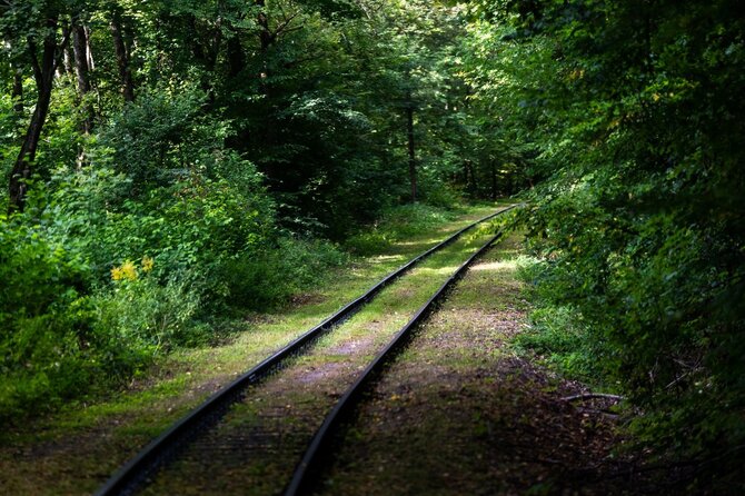 „Lietuvos geležinkeliai“ nuotr. / Geležinkelininkų dienos ekskursijos