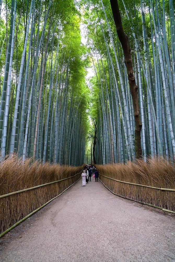 Asmeninio archyvo nuotr. / Japonija