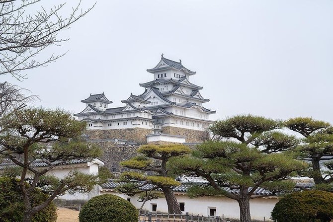 Asmeninio archyvo nuotr. / Japonija