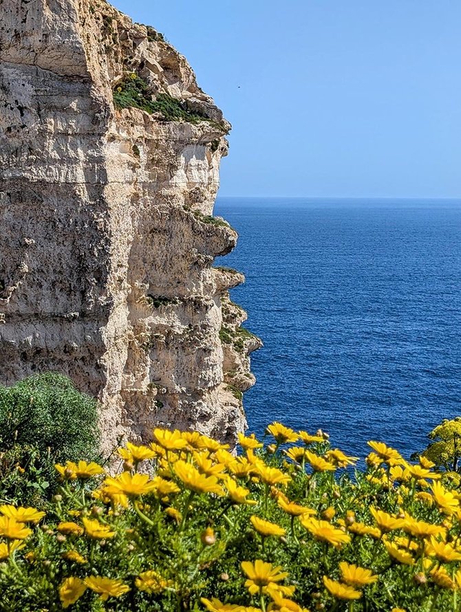 Valdo Pryšmanto nuotr. / Malta