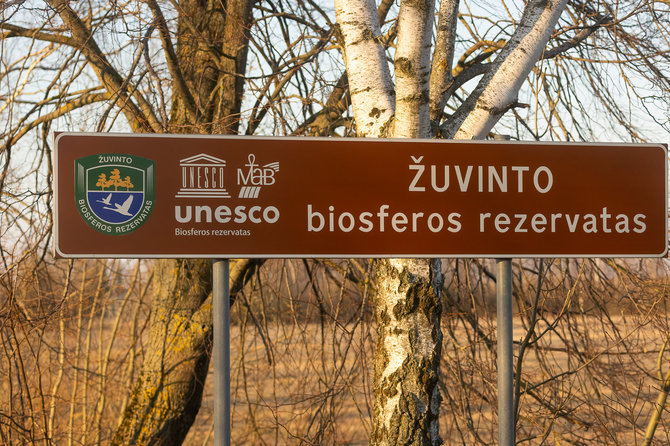 Dzūkijos-Suvalkijos saugomų teritorijų direkcijos nuotr. / Žuvinto biosferos rezervatas