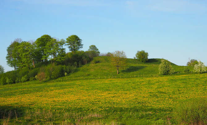 Vytenio Almonaičio nuotr. / Papilių piliakalnis, žvelgiant iš pietvakarių. 2024 m. 