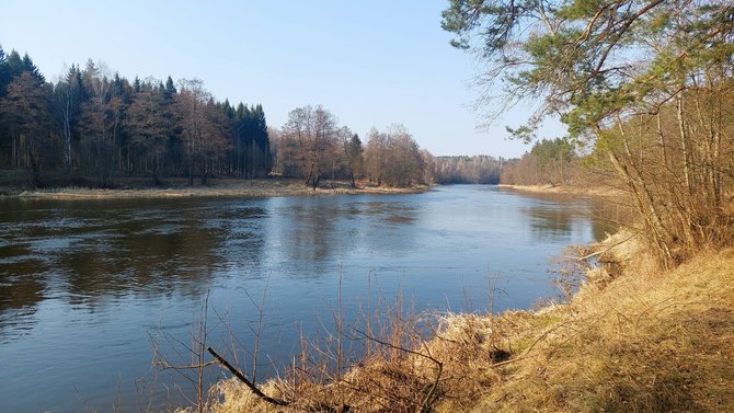 S.Balčaitės nuotr. / Vaizdingos Neries pakrantės ties Liucionių kaimu