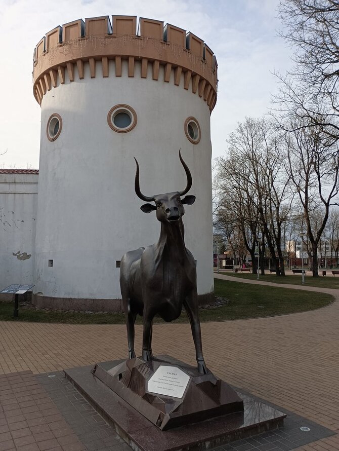 Radmino Raubos nuotr. / Tauragės kraštas