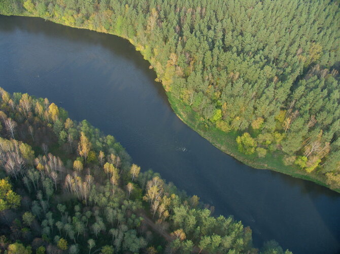 Dzūkijos-Suvalkijos saugomų teritorijų direkcijos nuotr. / Neries Purvės rėva