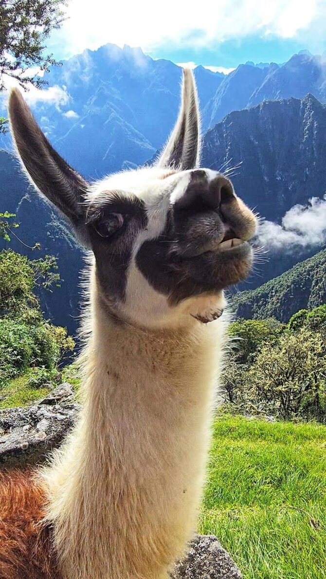 Asmeninio archyvo nuotr. / Peru